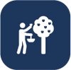 Arboriculture